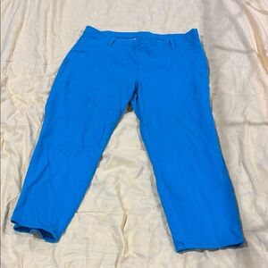 Faded Glory Blue Ankle Cropped Pants